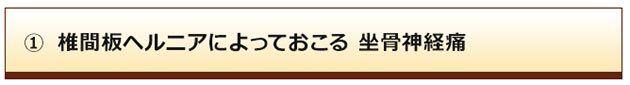 腰痛・頭痛・肩こり・骨盤 矯正・首の痛み・肩の痛み・腰の痛み・ヘルニア・坐骨神経痛・ぎっくり腰・五十肩・四十肩・膝痛・関節痛